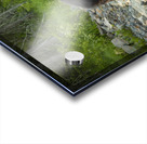 Mama Bear Acrylic print