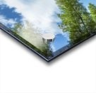 Lake of the Woods View Acrylic print