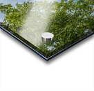 Lake of the Woods Shore Acrylic print