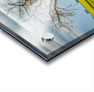 Solitude in Yellow Acrylic print