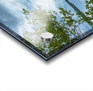 A summer Hike to Serenity Acrylic print