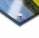 Old Barn and Canola Field Acrylic print