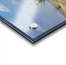 Lone Tree in the Badlands Acrylic print