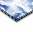 Lone Tree on a Cloudy Day Acrylic print