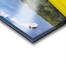 Old Barn and Canola Field Acrylic print