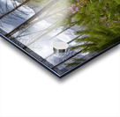 New Life Acrylic print