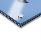 Raven on a Post Acrylic print