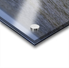 Pelican in Flight Acrylic print