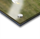 Eagle on a Fence Impression Acrylique