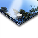 Tunnel Island Trail Acrylic print