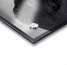 Raven Profile Acrylic print