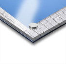 Winter Flight Impression Acrylique