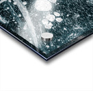 Frozen Veins Acrylic print