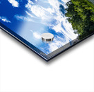 Falcon Lake Acrylic print