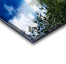 Top of the World Trail at Falcon Lake Acrylic print