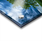 Lone Tree After the Storm Acrylic print