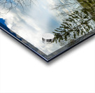 Ancient Beach Trail Acrylic print