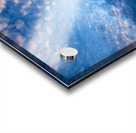 Flooded Field Acrylic print