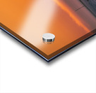 Deer in Sunrise Acrylic print