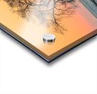 Lone Tree in Pastel Acrylic print