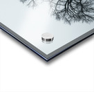 Lone Tree in Winter Storm Acrylic print