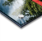 Red Bridge in Snow Acrylic print