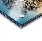 Lone Tree at Dusk Acrylic print