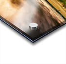 Harvestpocalypse Acrylic print