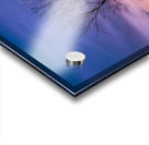 Lone Tree at Sunrise Acrylic print