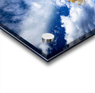 Lone Trees in the Fall Acrylic print