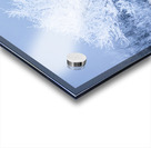 Lone Tree in Hoarfrost Impression Acrylique