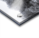 Spillway in Winterfog Acrylic print