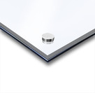 Tree Row in Hoarfrost Acrylic print