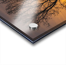 Lone Tree at Sunrise Acrylic print