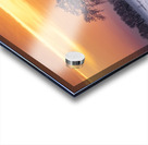 Lone Tree at Sunrise Acrylic print