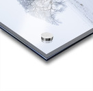 Lone Tree in Winter Fog Acrylic print