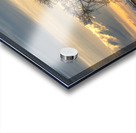 Lone Tree at Sunrise Impression Acrylique