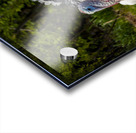 Turkeys Acrylic print