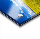 Blue and Yellow Acrylic print