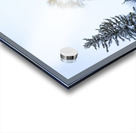 Trees Under the First Snow Acrylic print