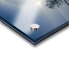 Sundogs Behind Lone Trees Acrylic print