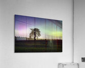 Lone Tree and Northern Lights Impression acrylique