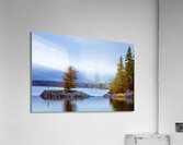 Tree on a Shoal Acrylic Print