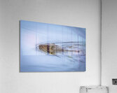 Beaver On still Waters Acrylic Print