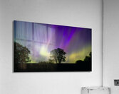 Lone Tree Under Aurora Glow Acrylic Print