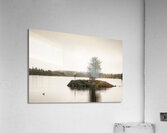 Still Waters Acrylic Print