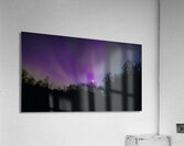 Aurora and Moonlight over the Canopy Acrylic Print