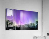 Northern Lights Above the Canopy Acrylic Print
