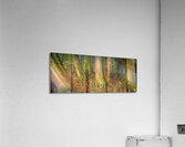 Tree Grove Acrylic Print