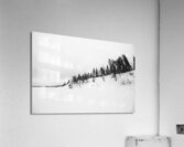 Bear Lake Acrylic Print